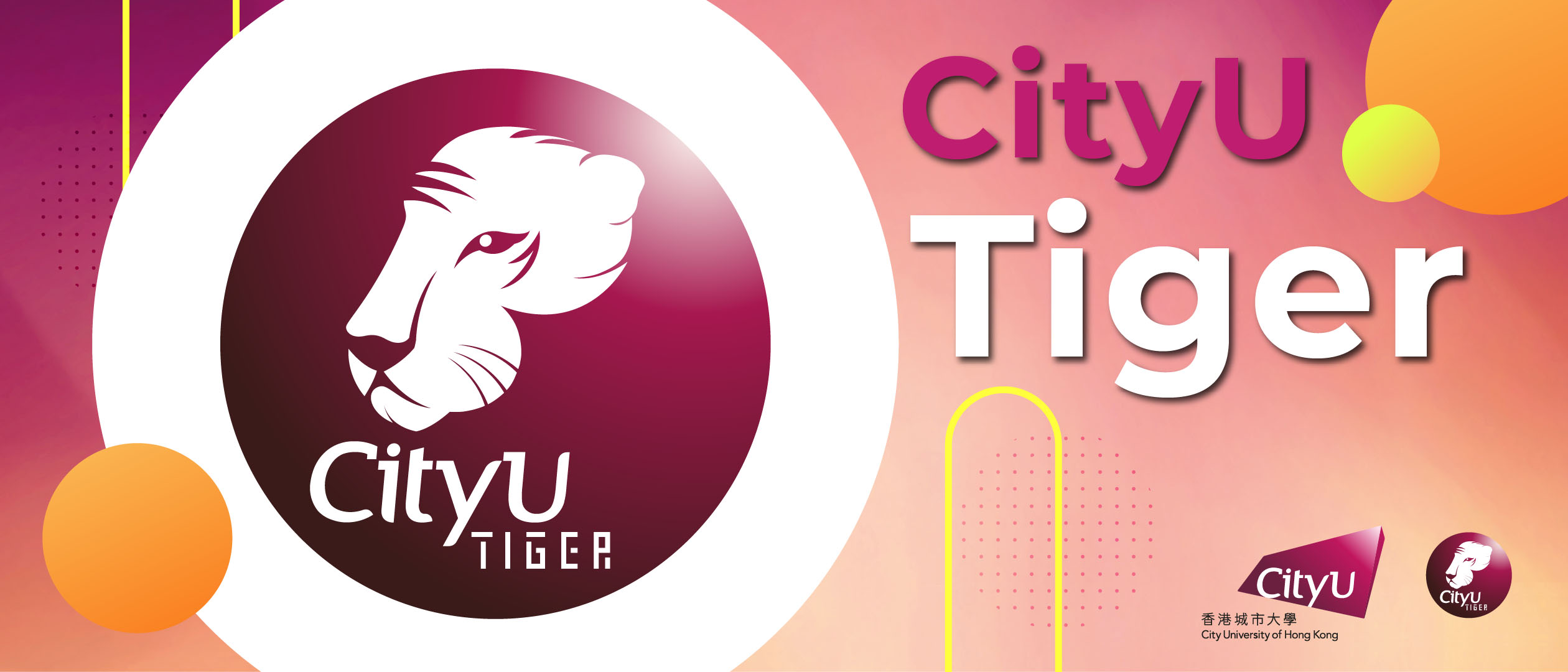 CityU Tiger Programme