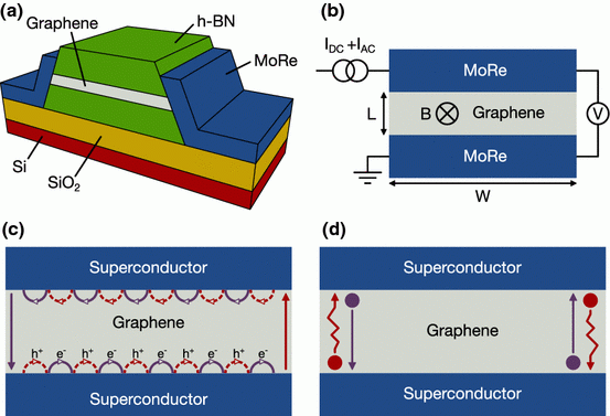 Investigation of Supercurrent in the Quantum Hall Regime in Graphene Josephson Junctions