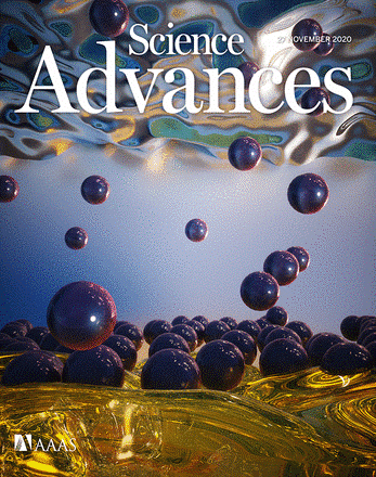Direct observation of nanoparticle-surfactant assembly and jamming at the water-oil interface