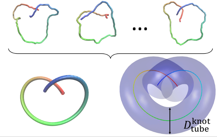 Tube model for polymer knots with excluded volume interactions and its application