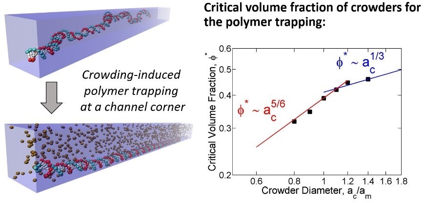 Crowding-induced polymer trapping in a channel