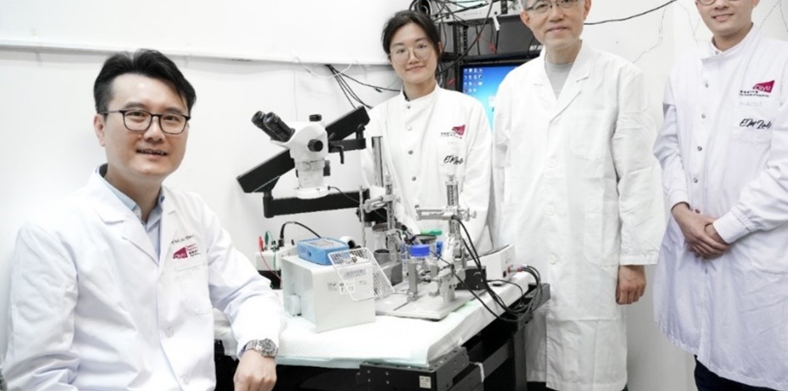 CityU neuroscientists unveil the novel therapeutic potential of Metaxalone for treating nerve injuries