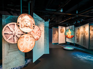  New exhibition spotlights diffusion of Buddhism along Maritime Silk Road 