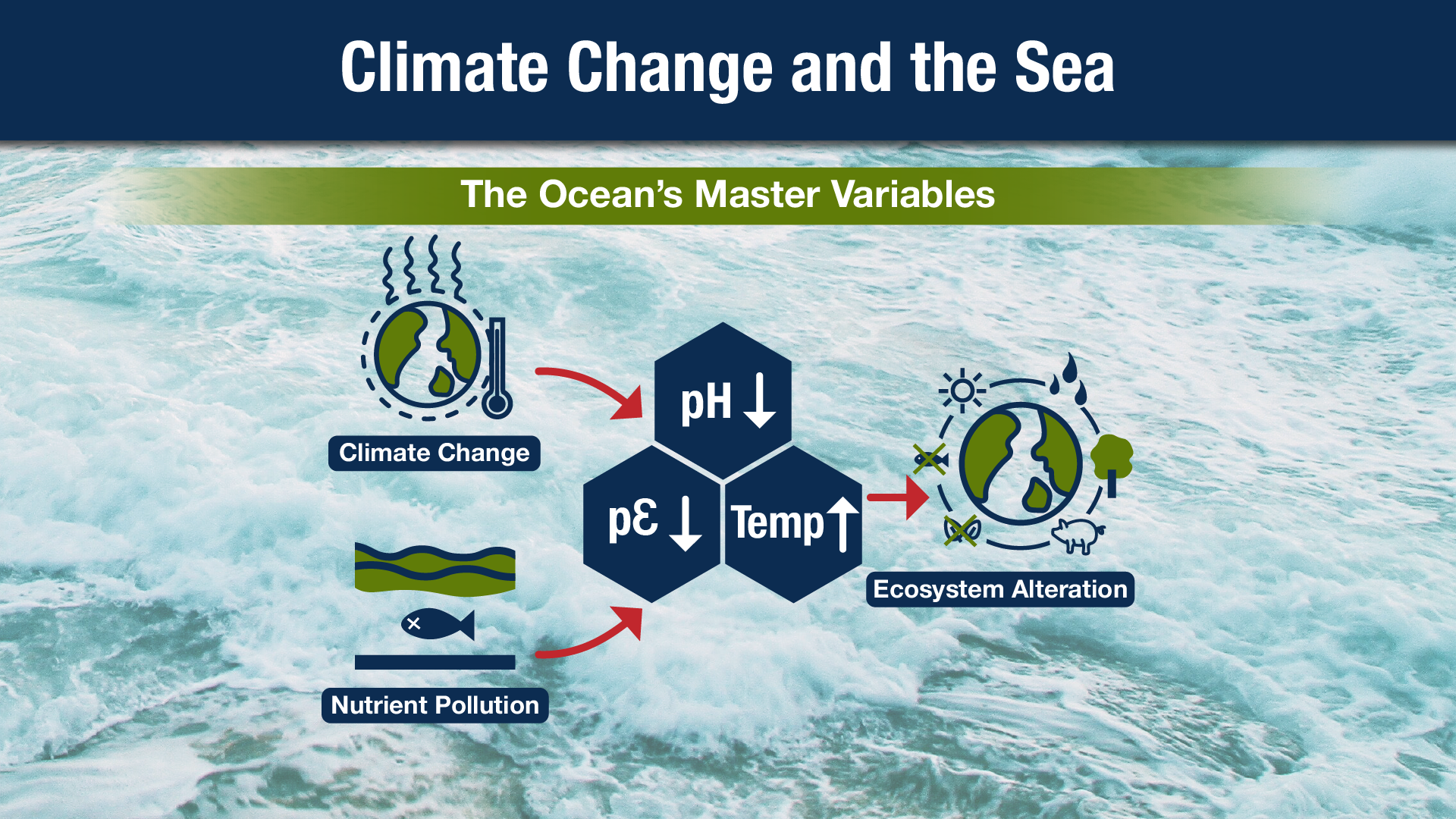 Prof. Jerald Schnoor Climate Change and the Sea-web