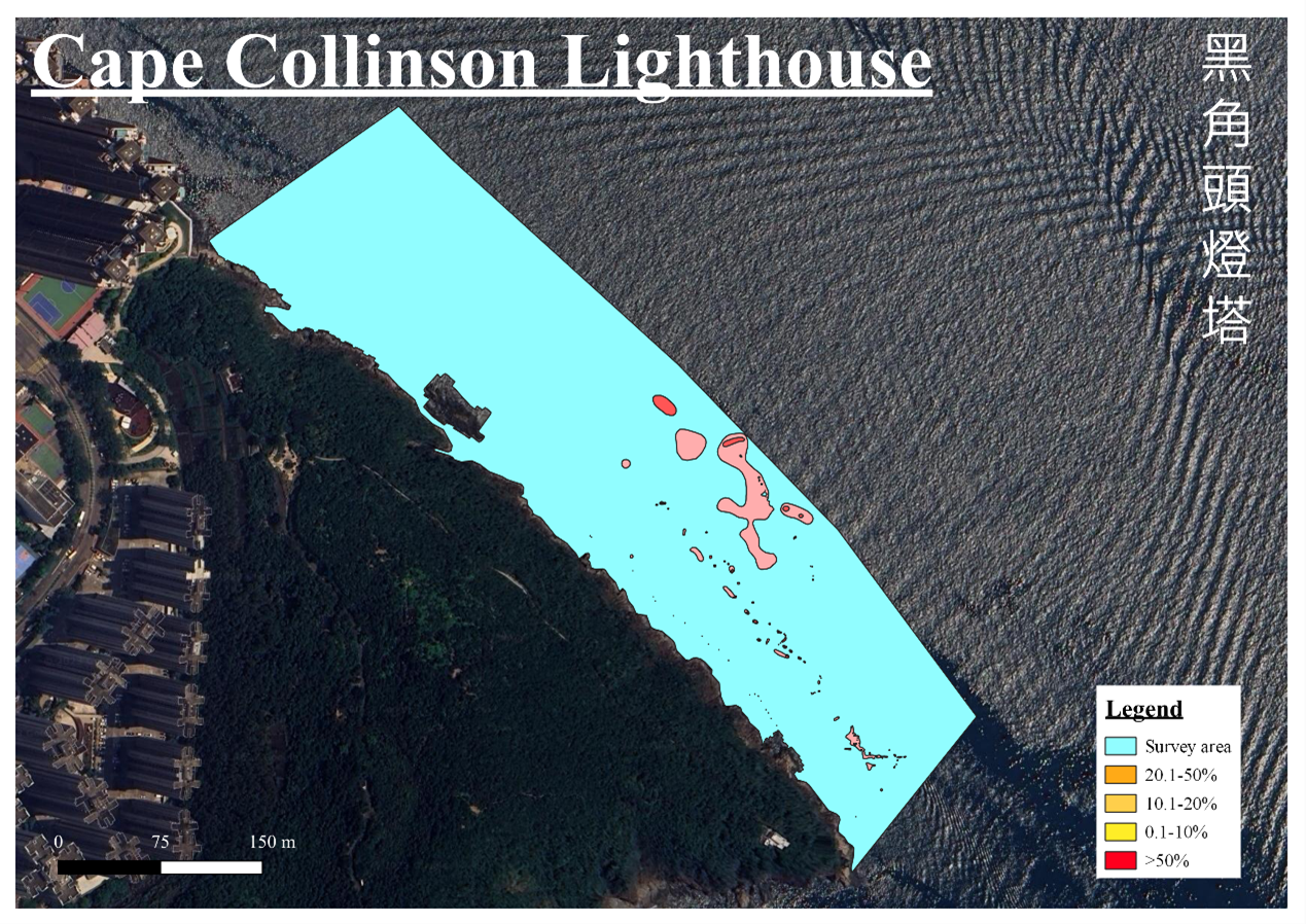 Figure 4: Mapping result of Cape Collinson Lighthouse