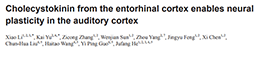 Cholecystokinin from the entorhinal cortex enables neural plasticity in the auditory cortex