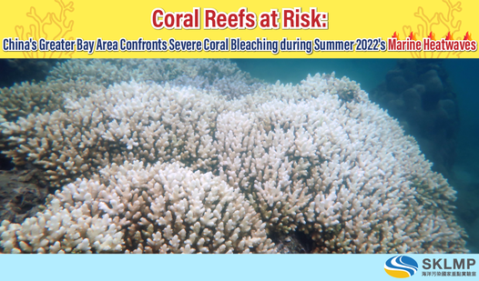 CoralBleachingResearch-v1.1 - Eng
